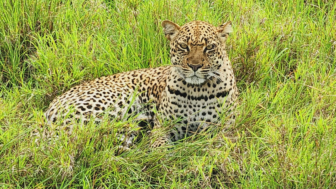 Muganzi safaris Uganda