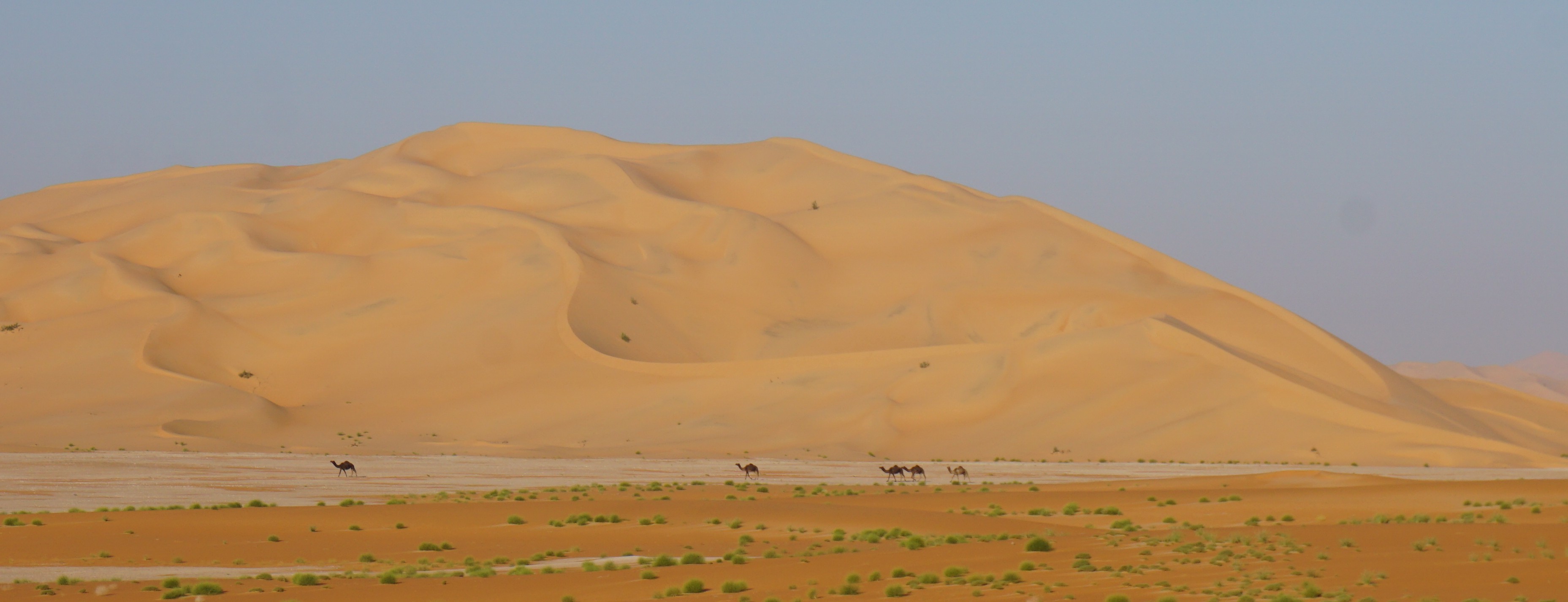 Desert Quarter Tourism and Investment