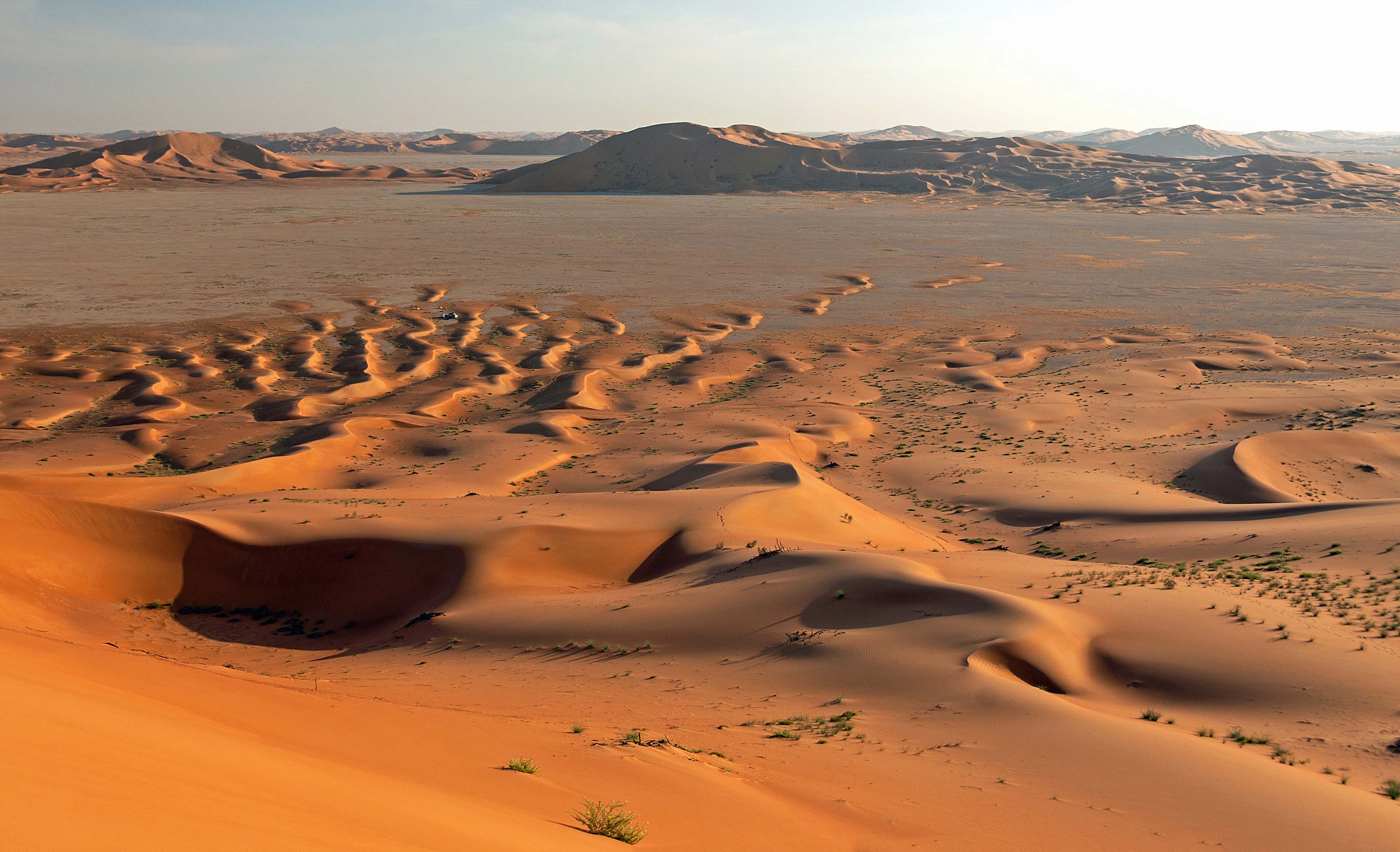 Desert Quarter Tourism and Investment