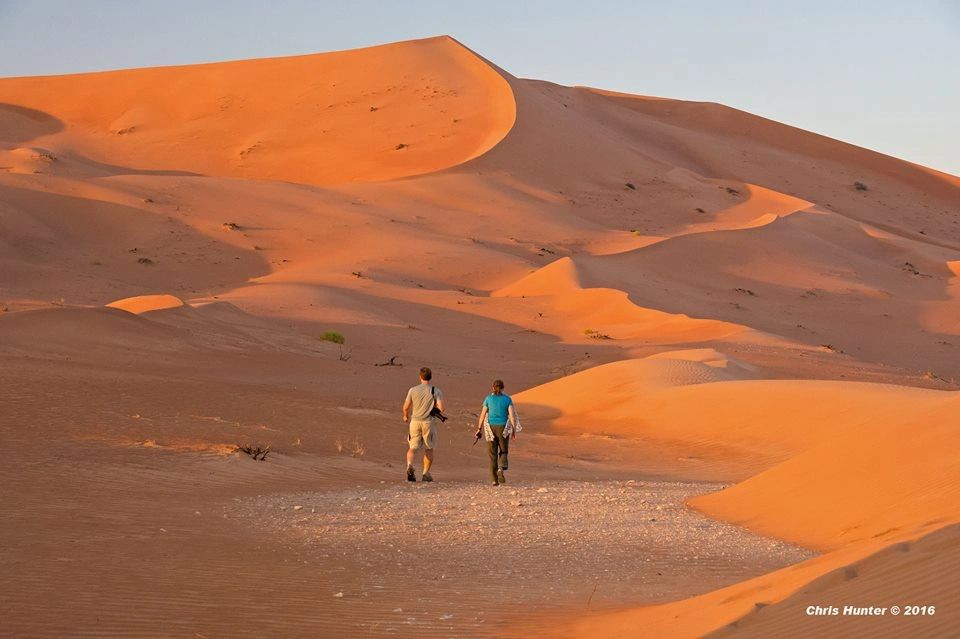 Desert Quarter Tourism and Investment