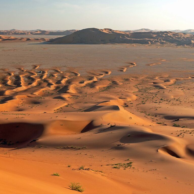 Desert Quarter Tourism and Investment