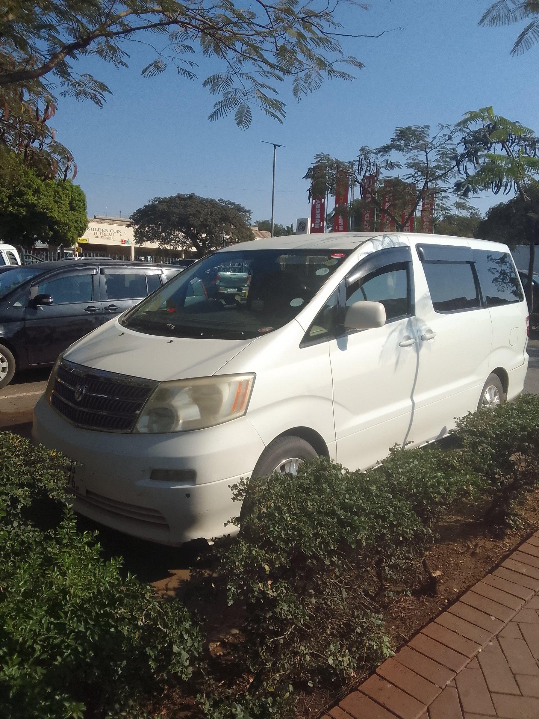 Nicholas Taxi Livingstone