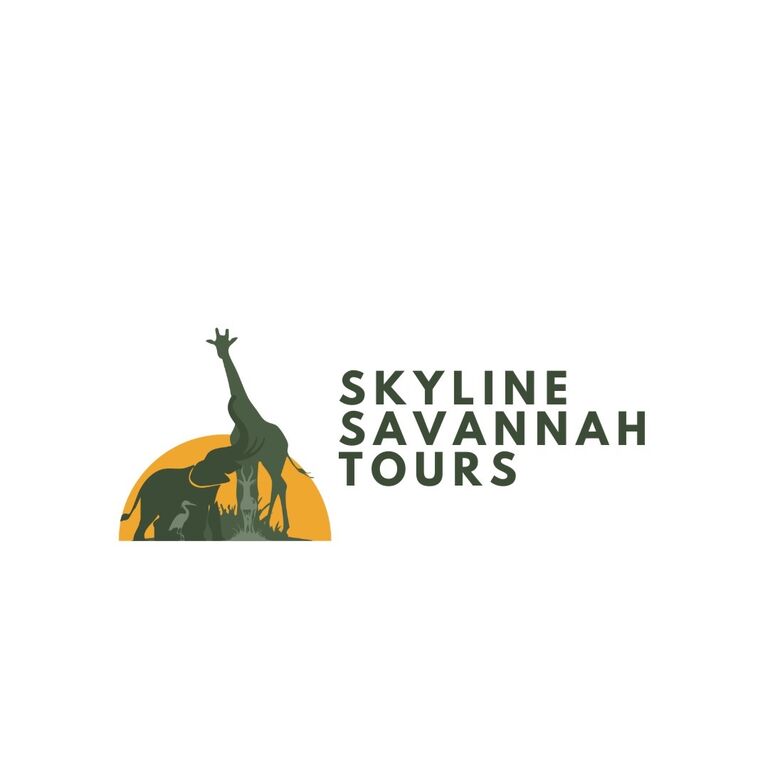 Skyline savannah Tours