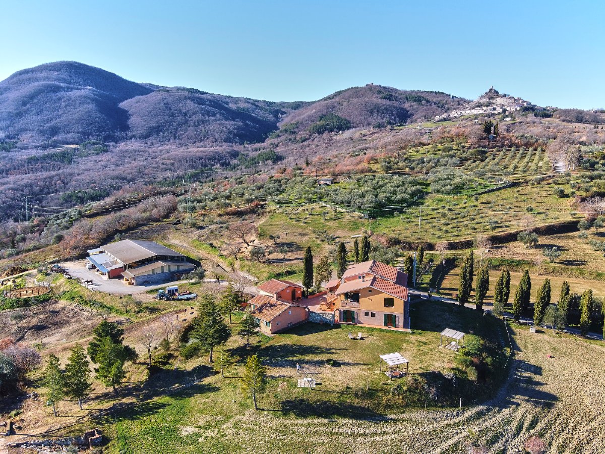 Il Cavalleggero