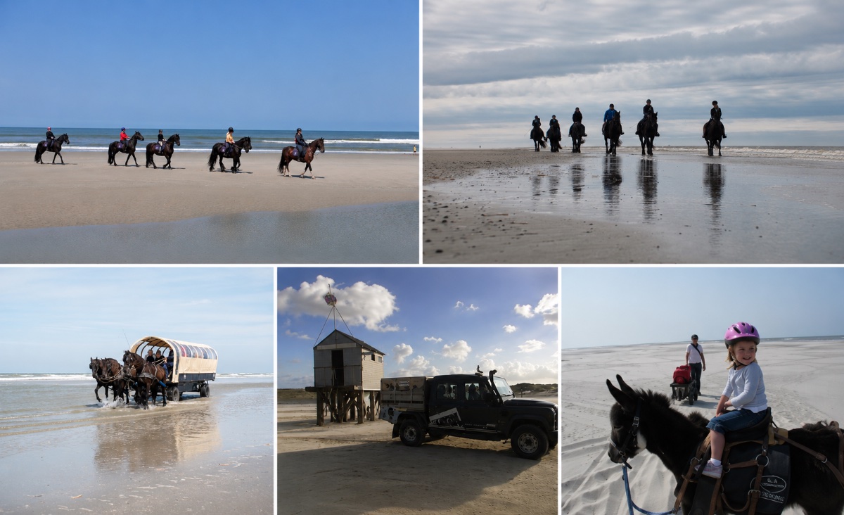 Puur Terschelling