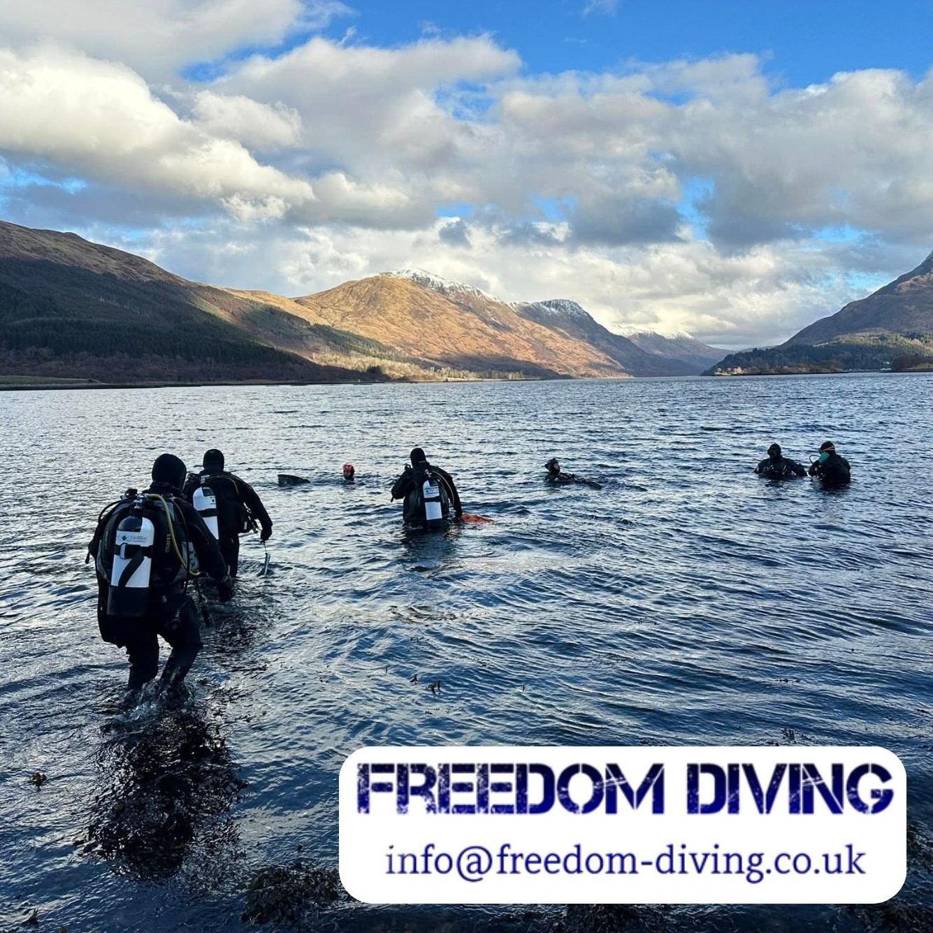 Freedom Diving