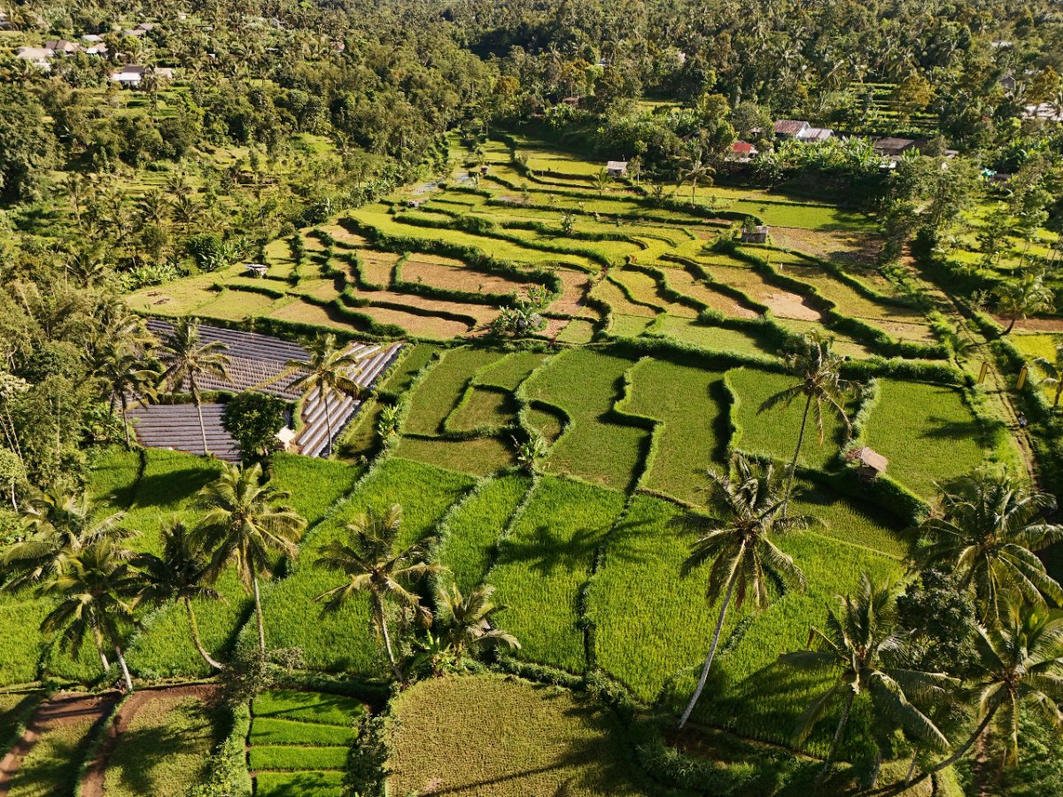 Lombok indoesian transport