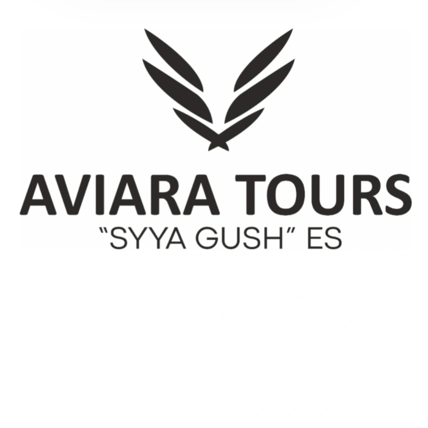 AviaraTours