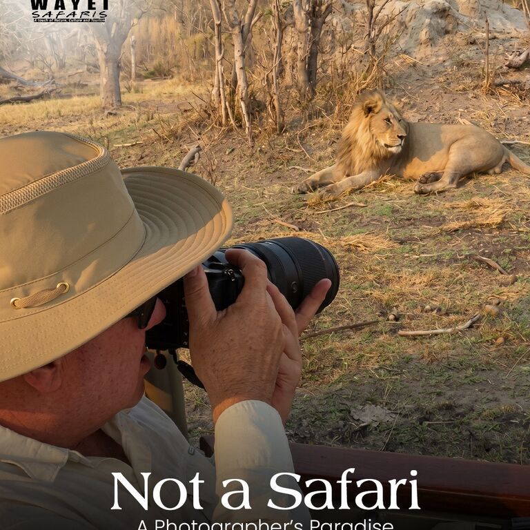 Moremi Safari Day Trip