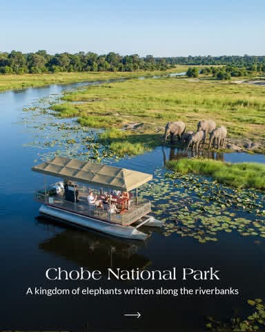 Chobe National Park Day Trip