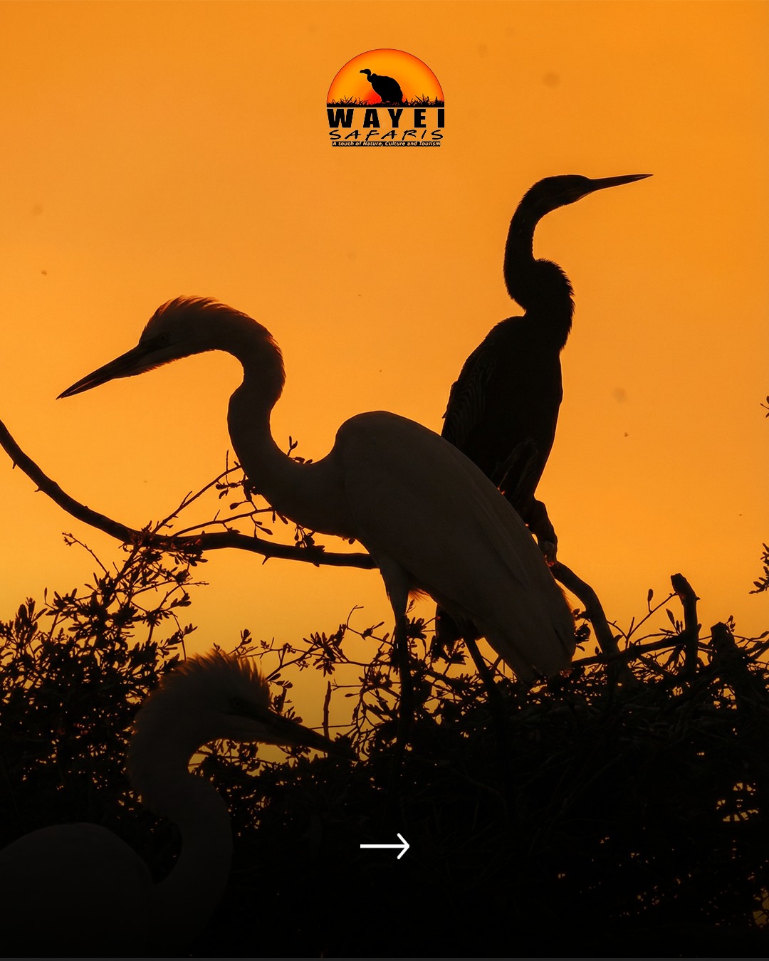 3-Day Okavango Delta
