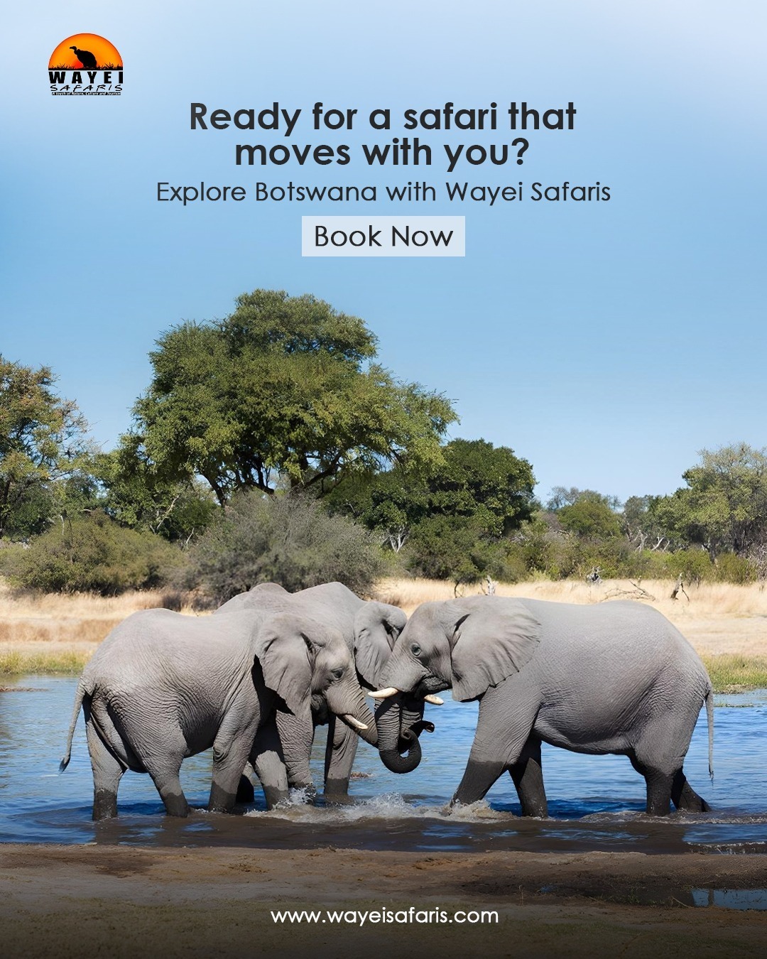 6-Day Safari Camping