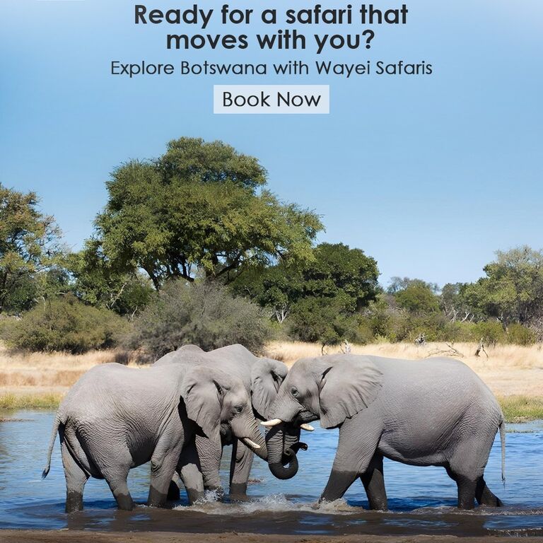 6-Day Safari Camping