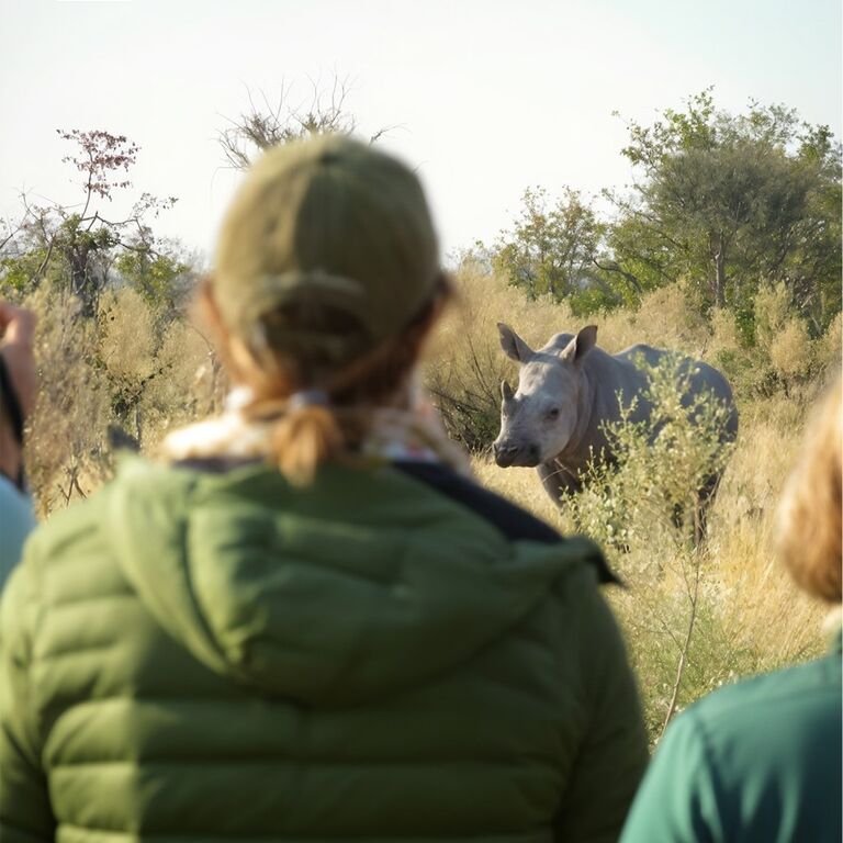 6-Day Safari Camping