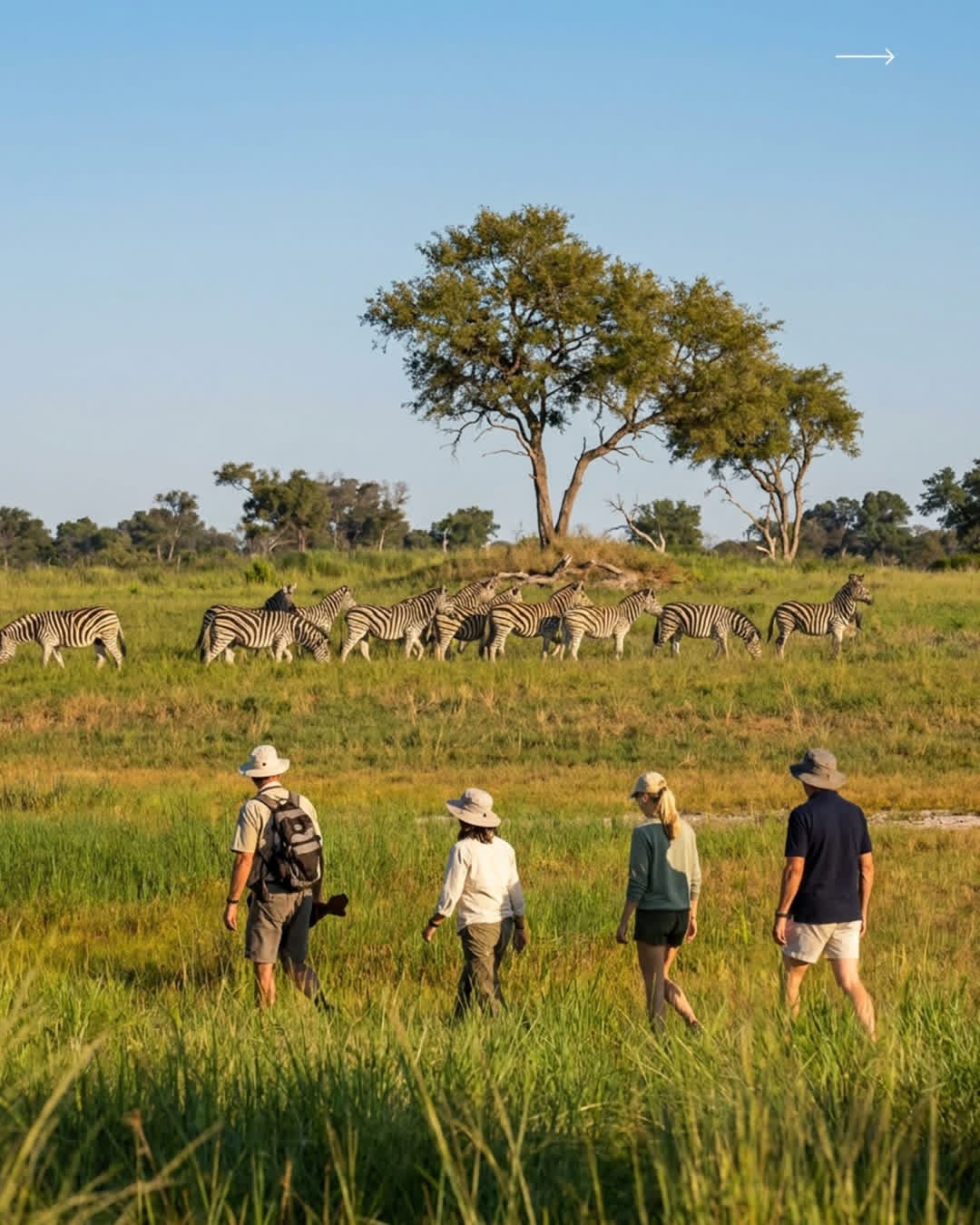 9-Day Wilderness Trails Safari