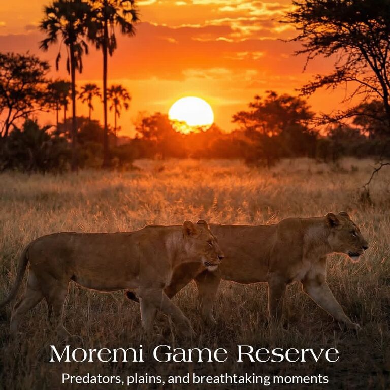 9-Day Wilderness Trails Safari