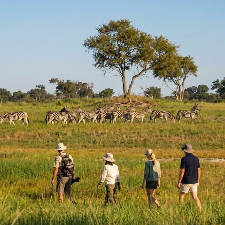 9-Day Wilderness Trails Safari