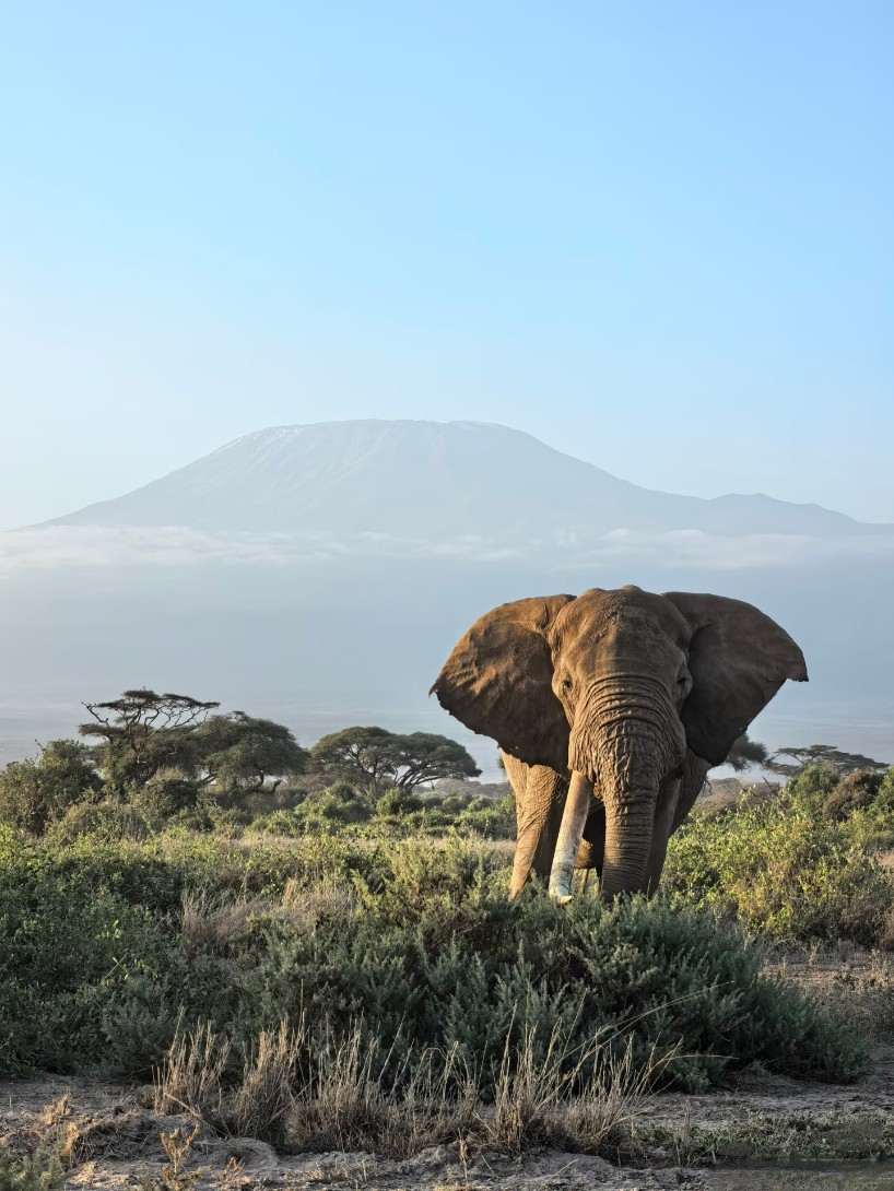 JOURNEY JUNCTION TOURS