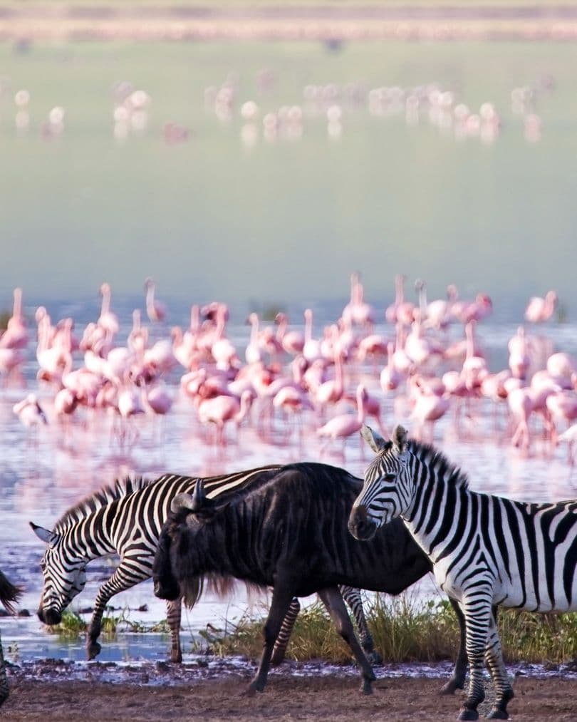 SUNRISE AND SUNSET SAFARIS