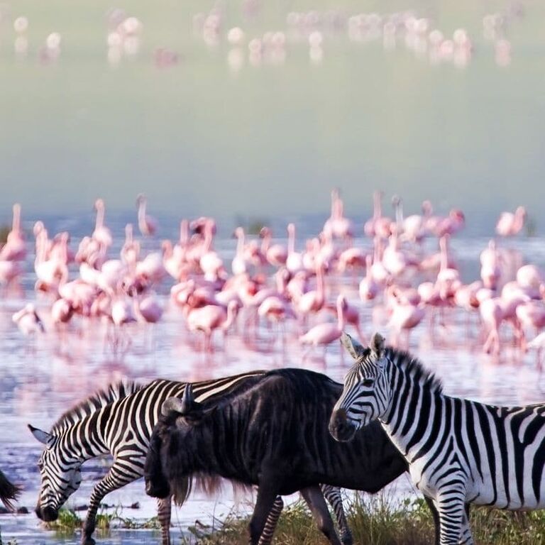 SUNRISE AND SUNSET SAFARIS