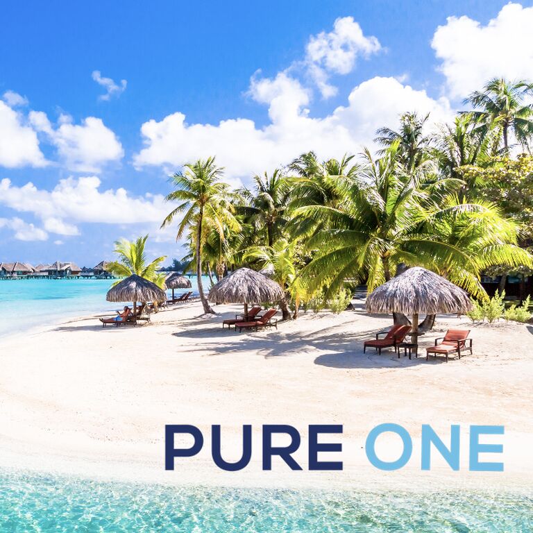 PURE ONE Travel