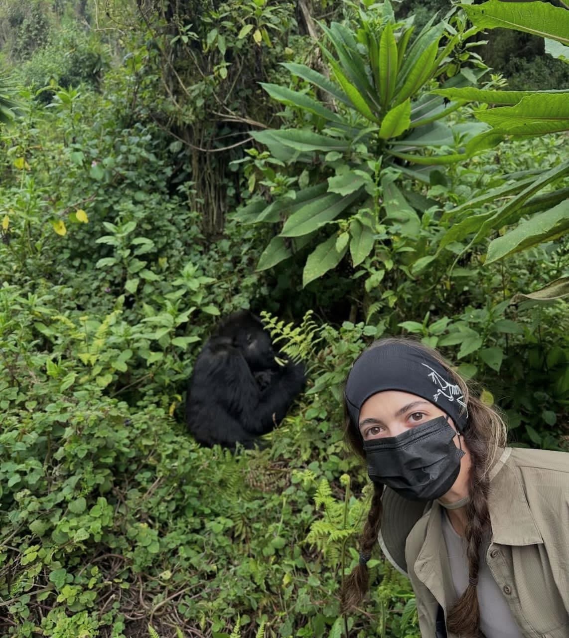 Gorilla Exclusive Safaris