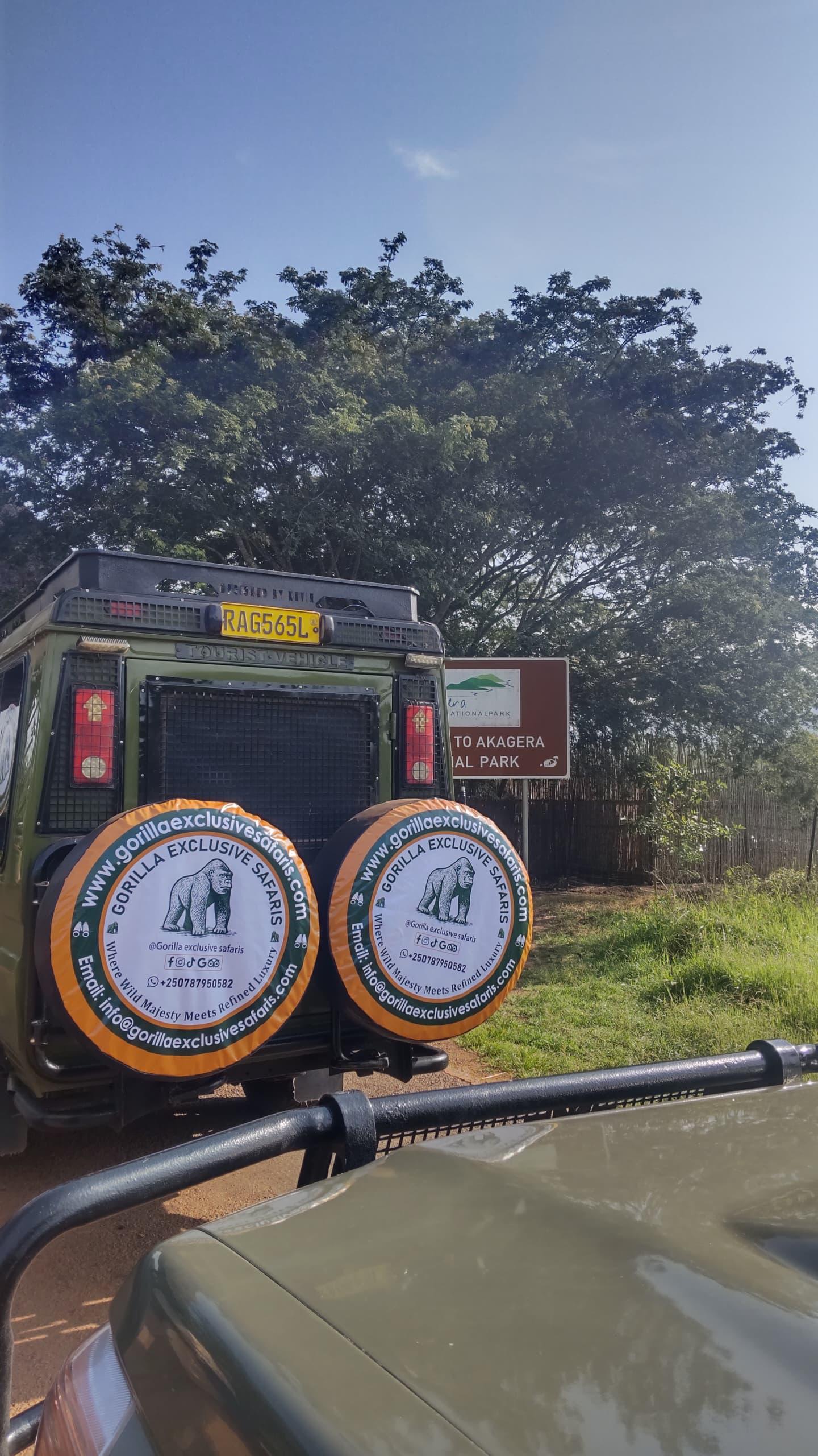 Gorilla Exclusive Safaris