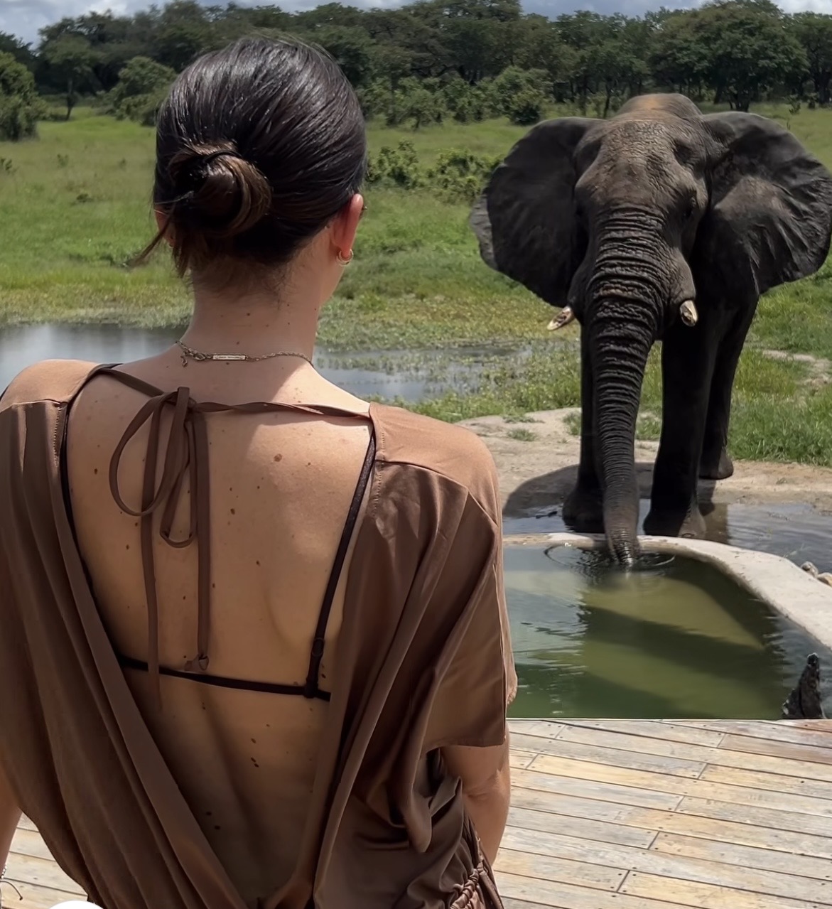 Gorilla Exclusive Safaris