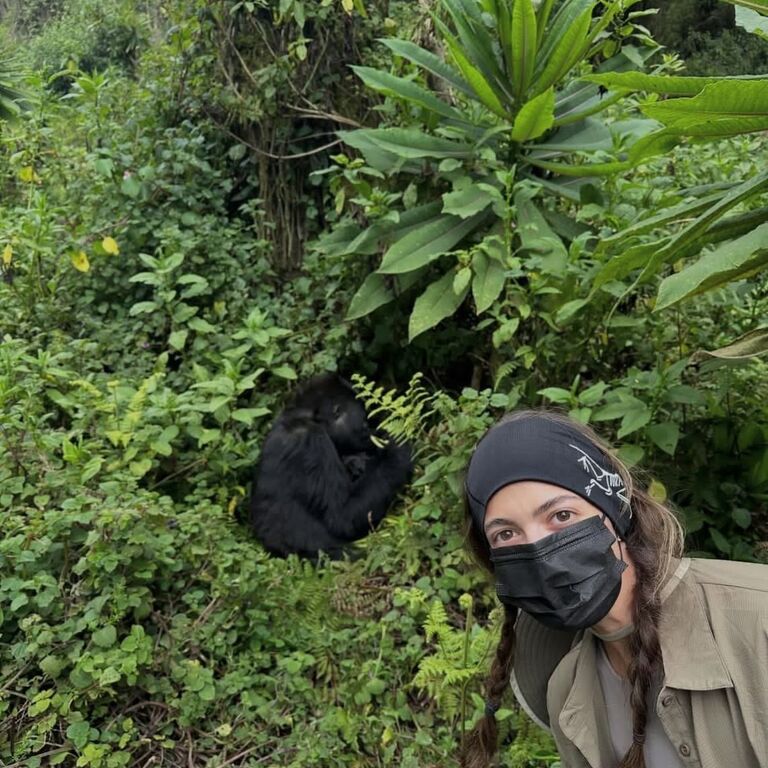 Gorilla Exclusive Safaris