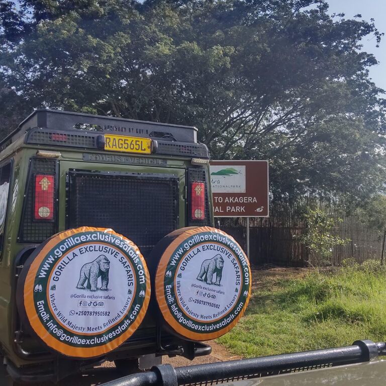 Gorilla Exclusive Safaris