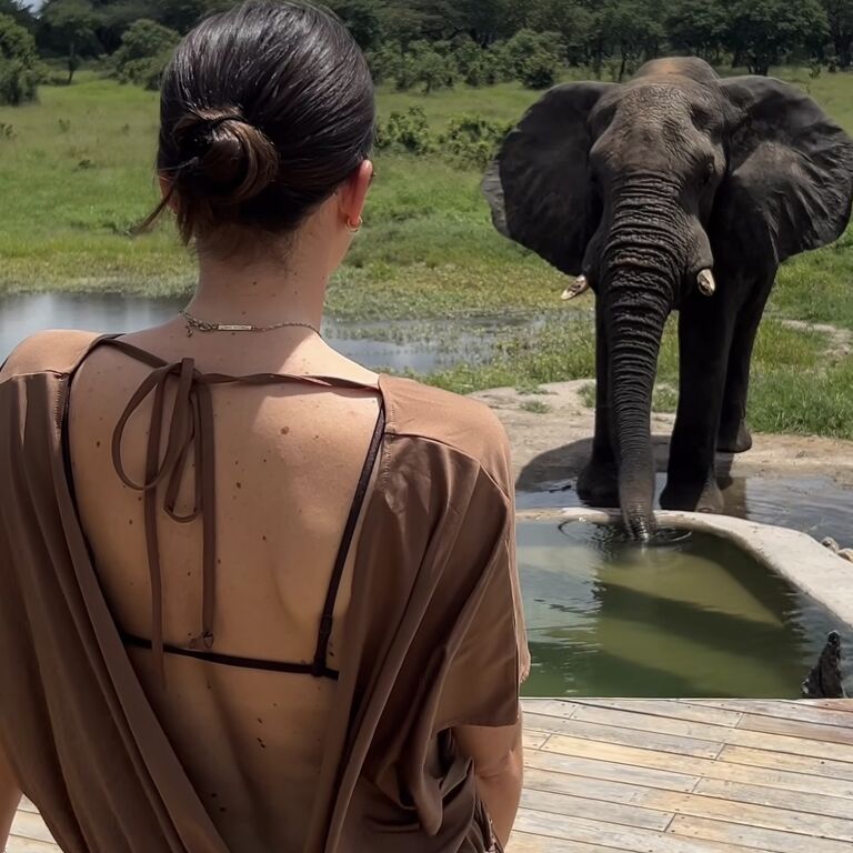 Gorilla Exclusive Safaris