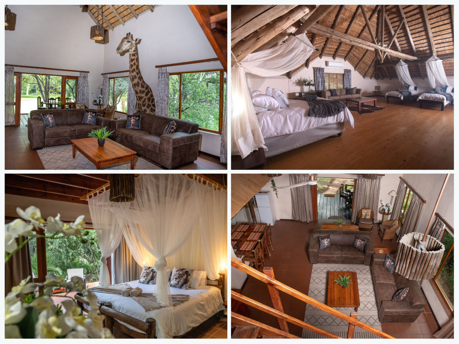 Lulu Safaris on Kruger