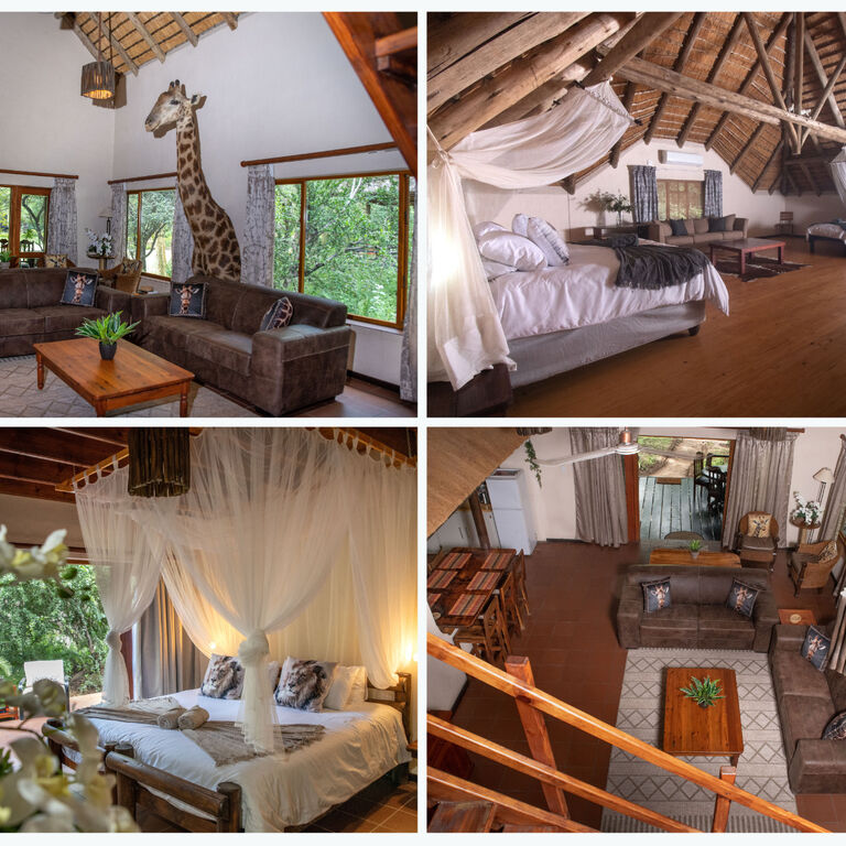 Lulu Safaris on Kruger