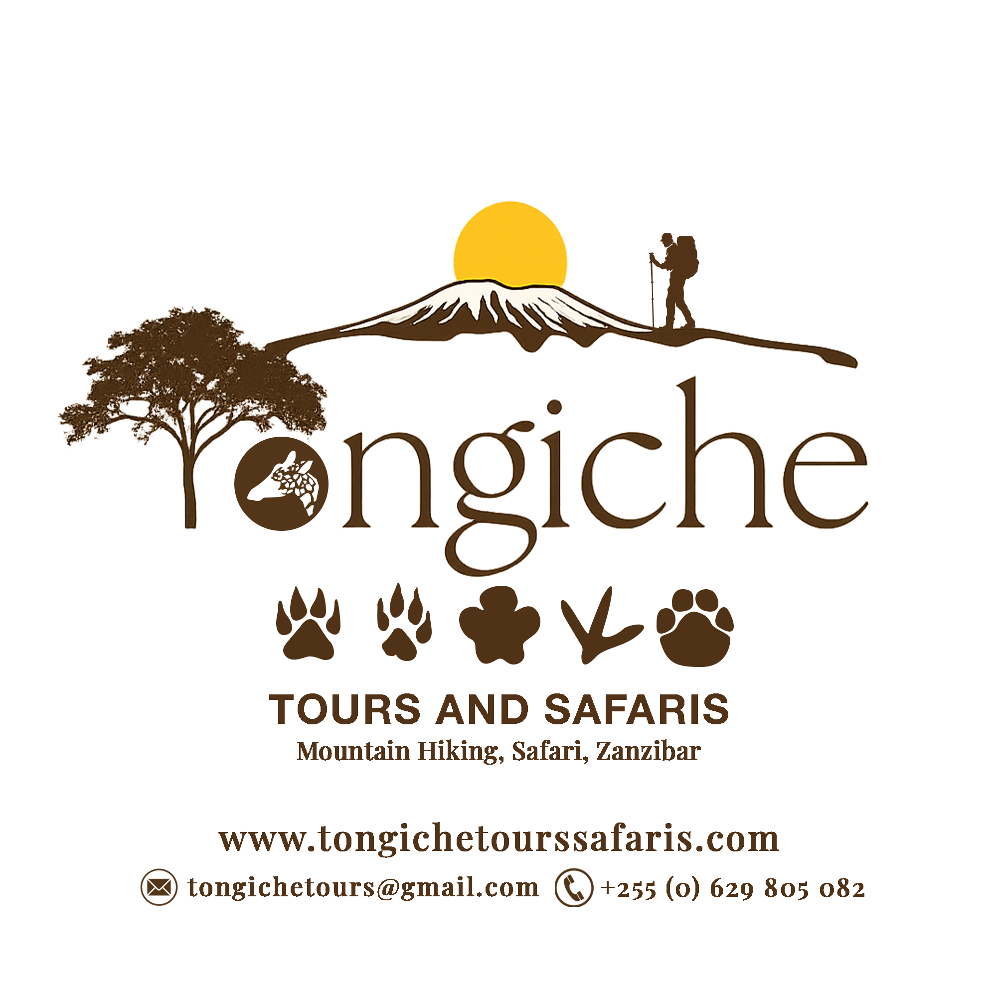 TONGICHE TOURS AND SAFARIS
