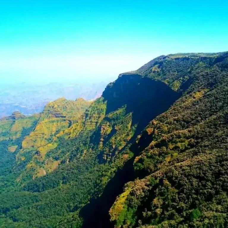 Ethiophy Tours