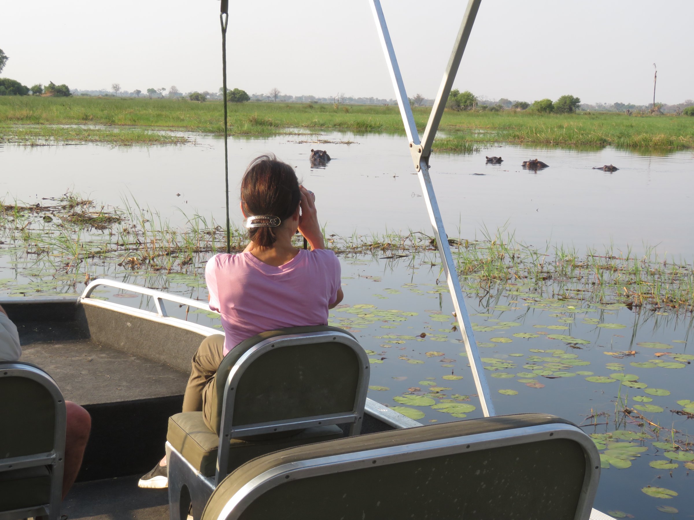Chobe National Park Overnight