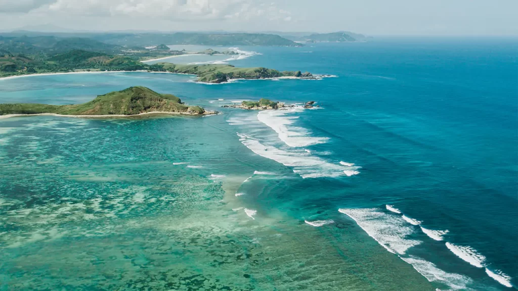 Macadamia eco travel tour