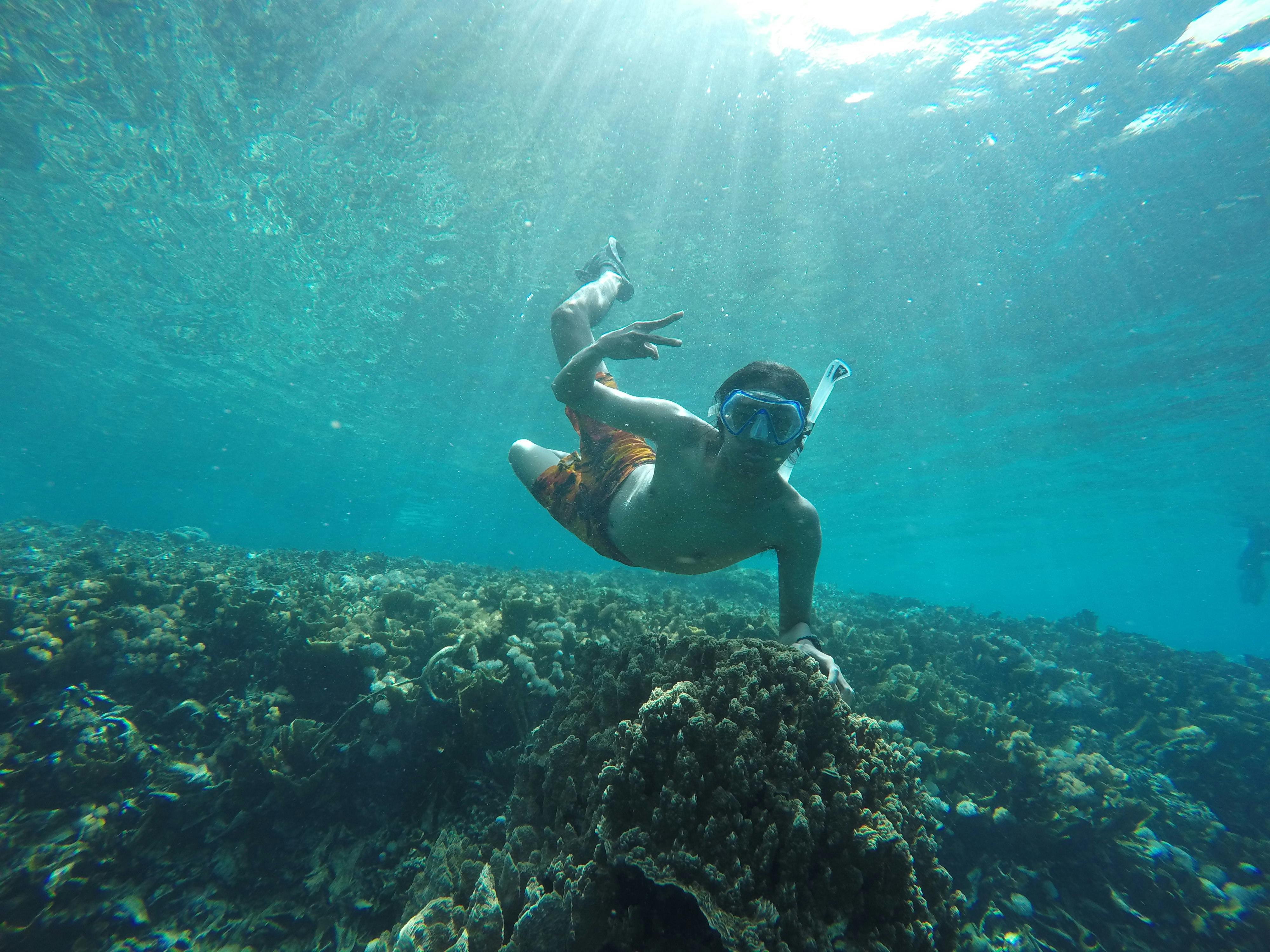 Macadamia eco travel tour