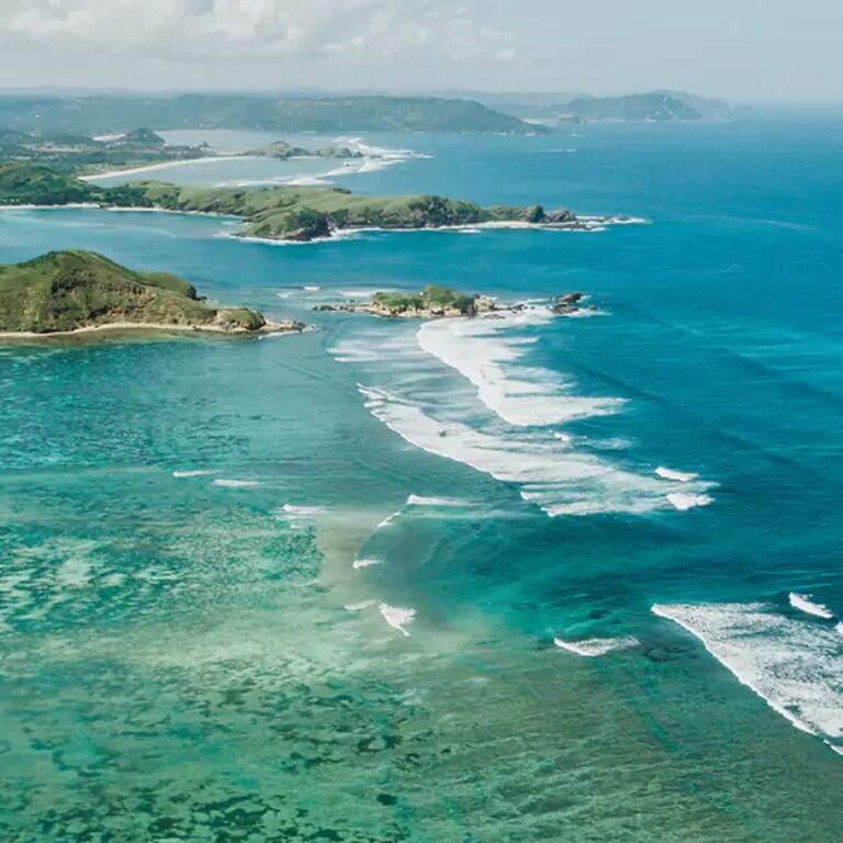Macadamia eco travel tour