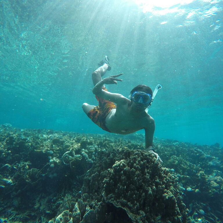 Macadamia eco travel tour