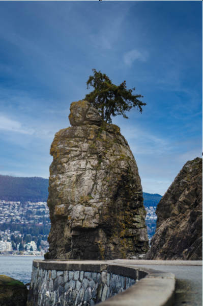 Spokes Bicycle Rentals