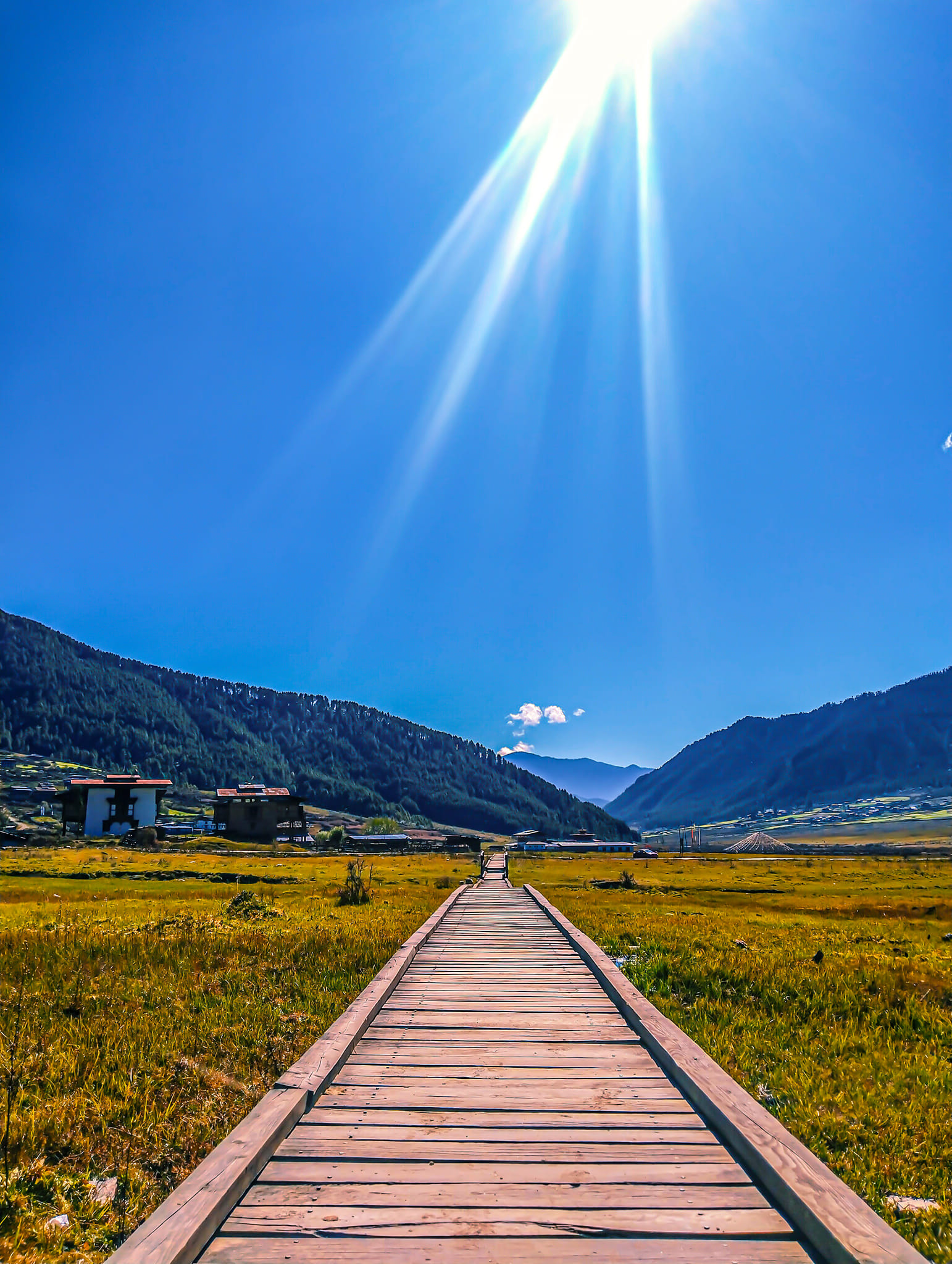 Indruka tours and travels