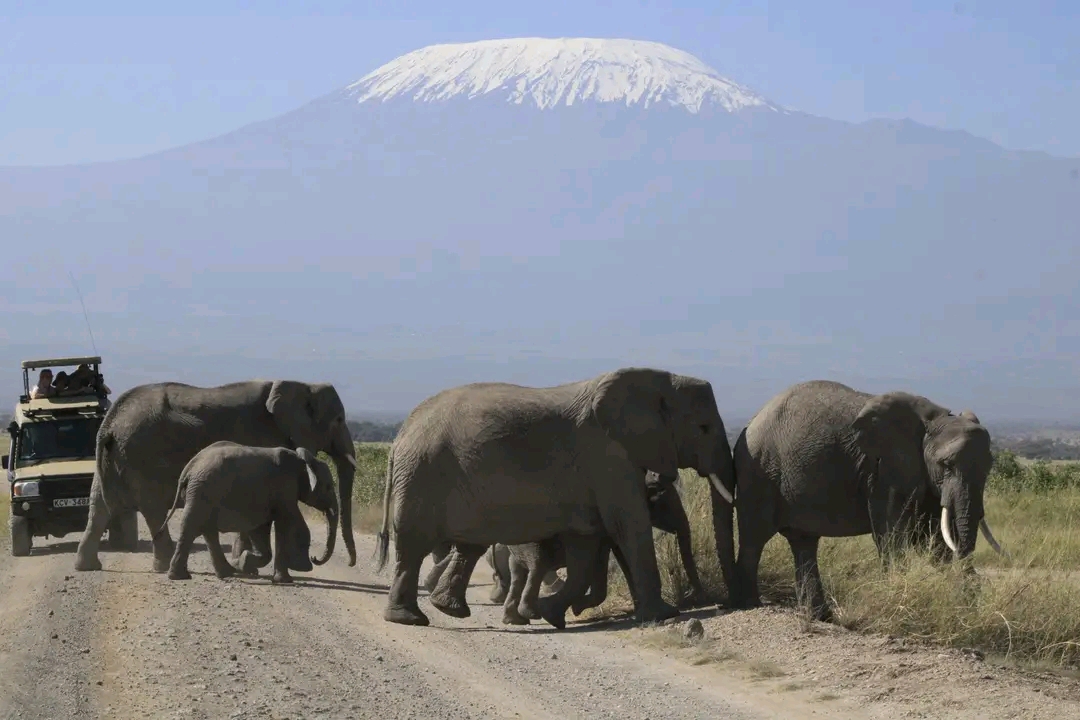Geonature Tour's &Travel Ltd.
