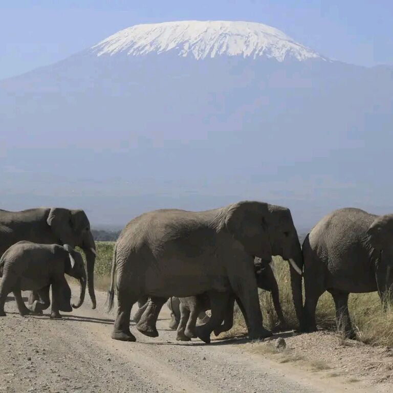 Geonature Tour's &Travel Ltd.