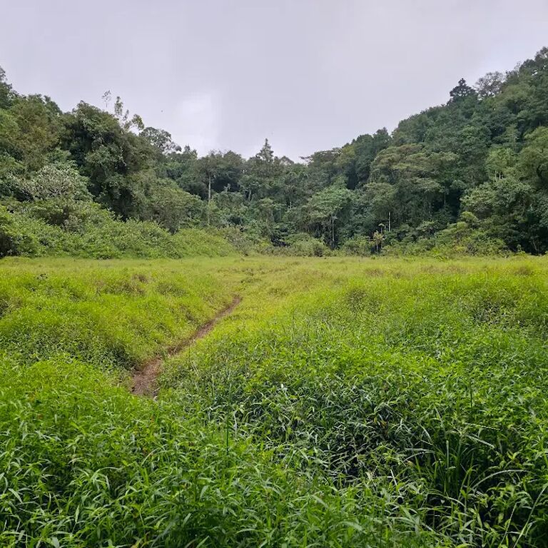 Sao Tome Tours