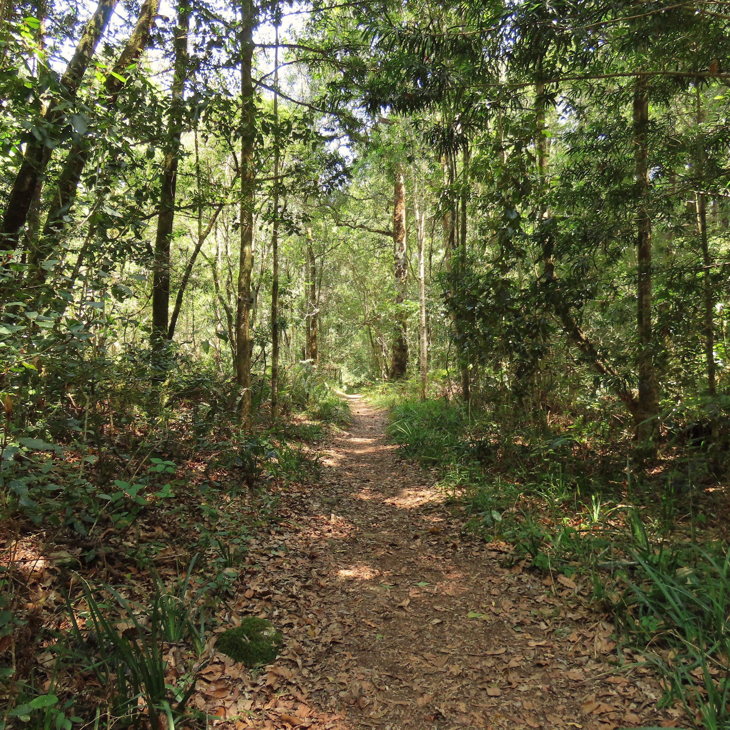 Explore Eden (Birding)