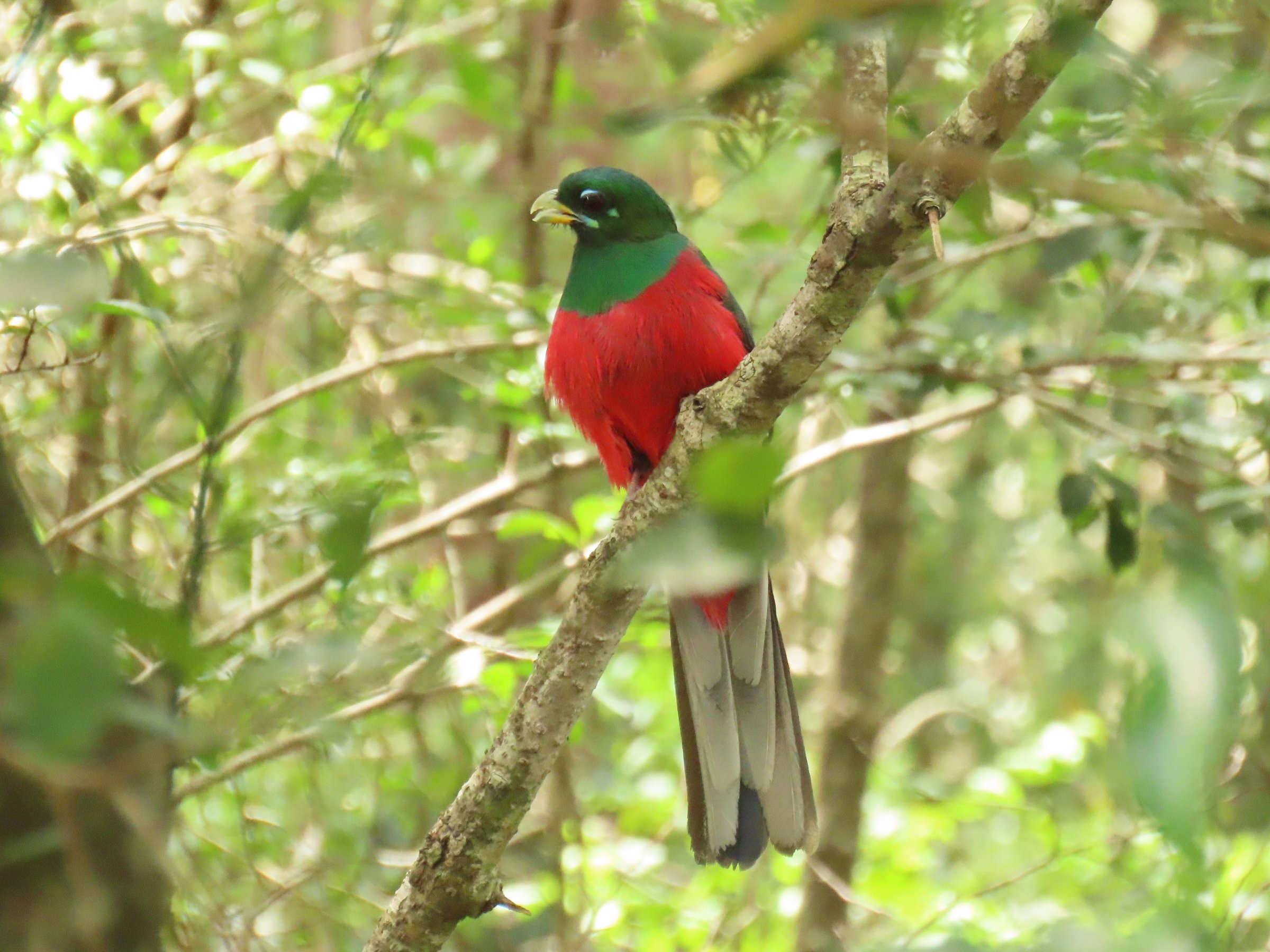 Explore Eden (Birding)