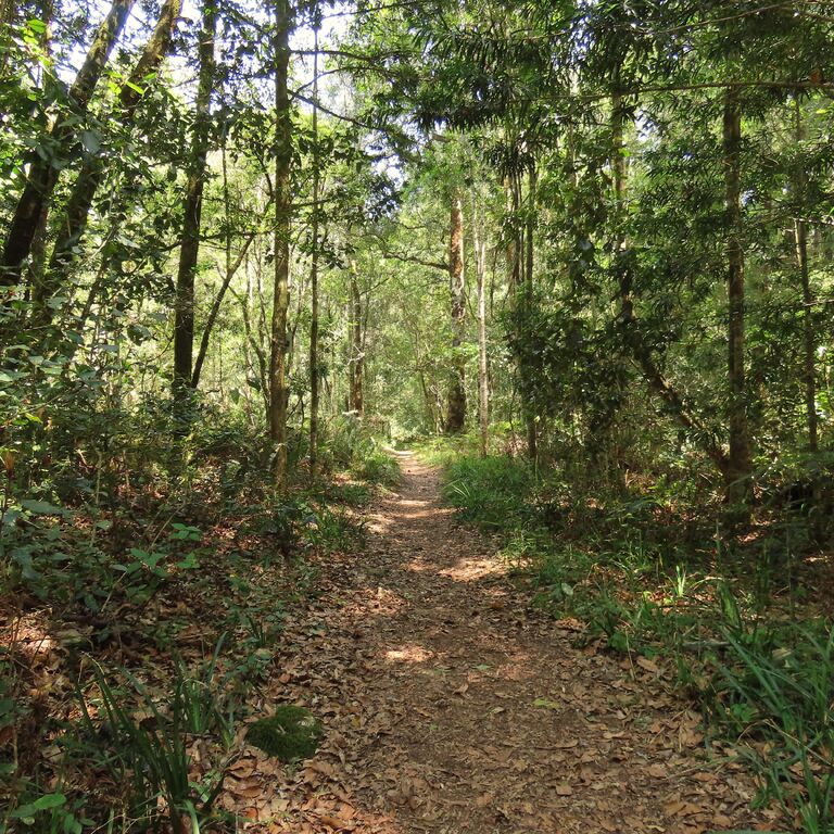 Explore Eden (Birding)