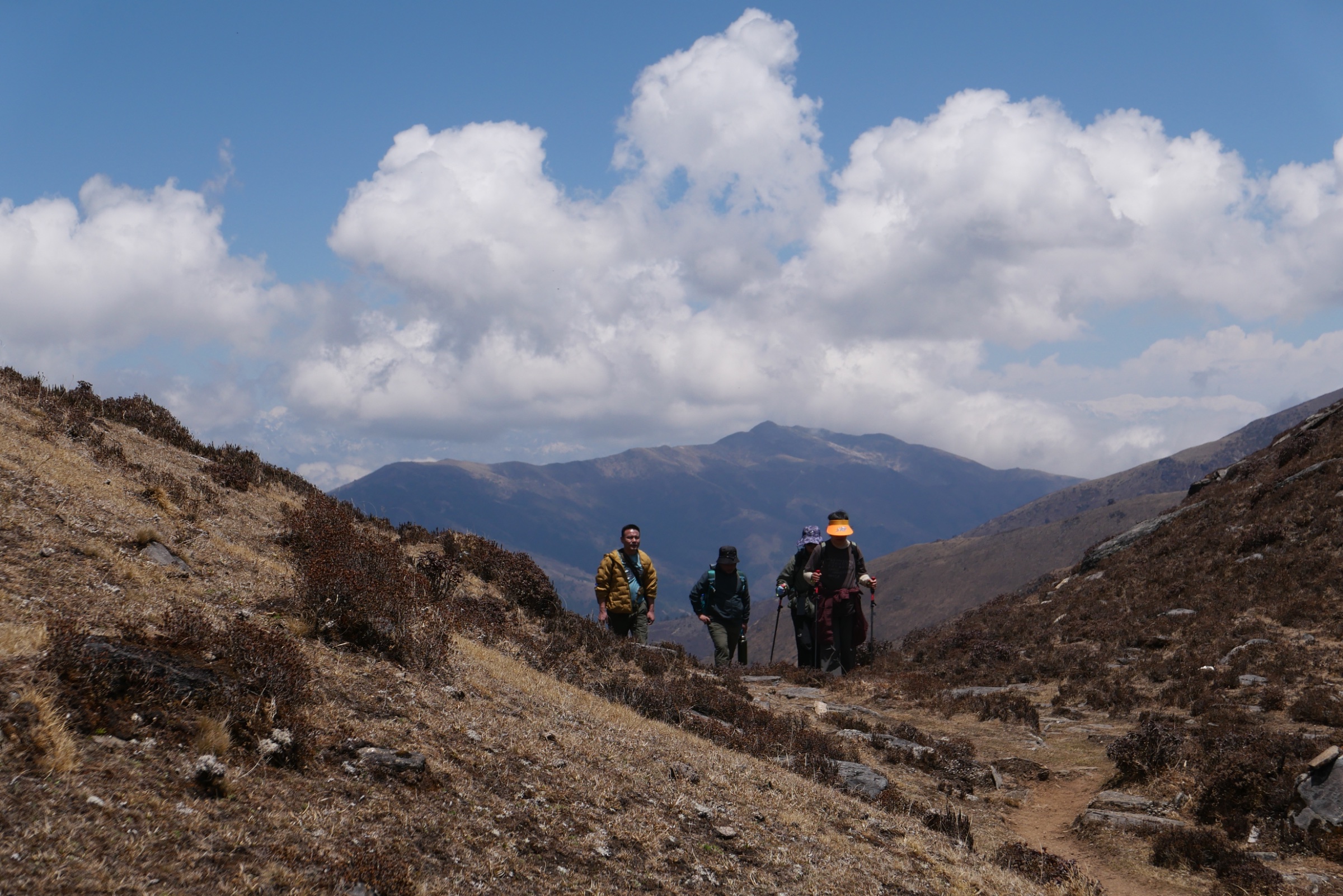 Taktsang Expeditions