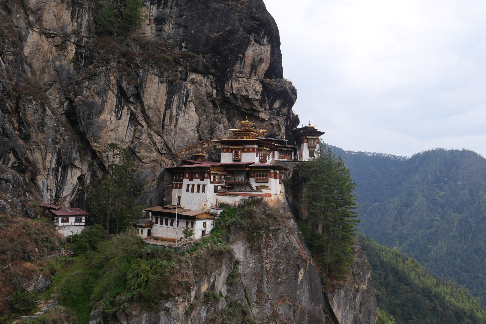 Taktsang Expeditions